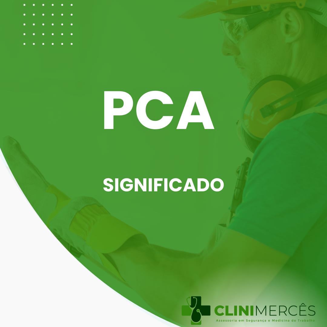 PCA SIGNIFICADO